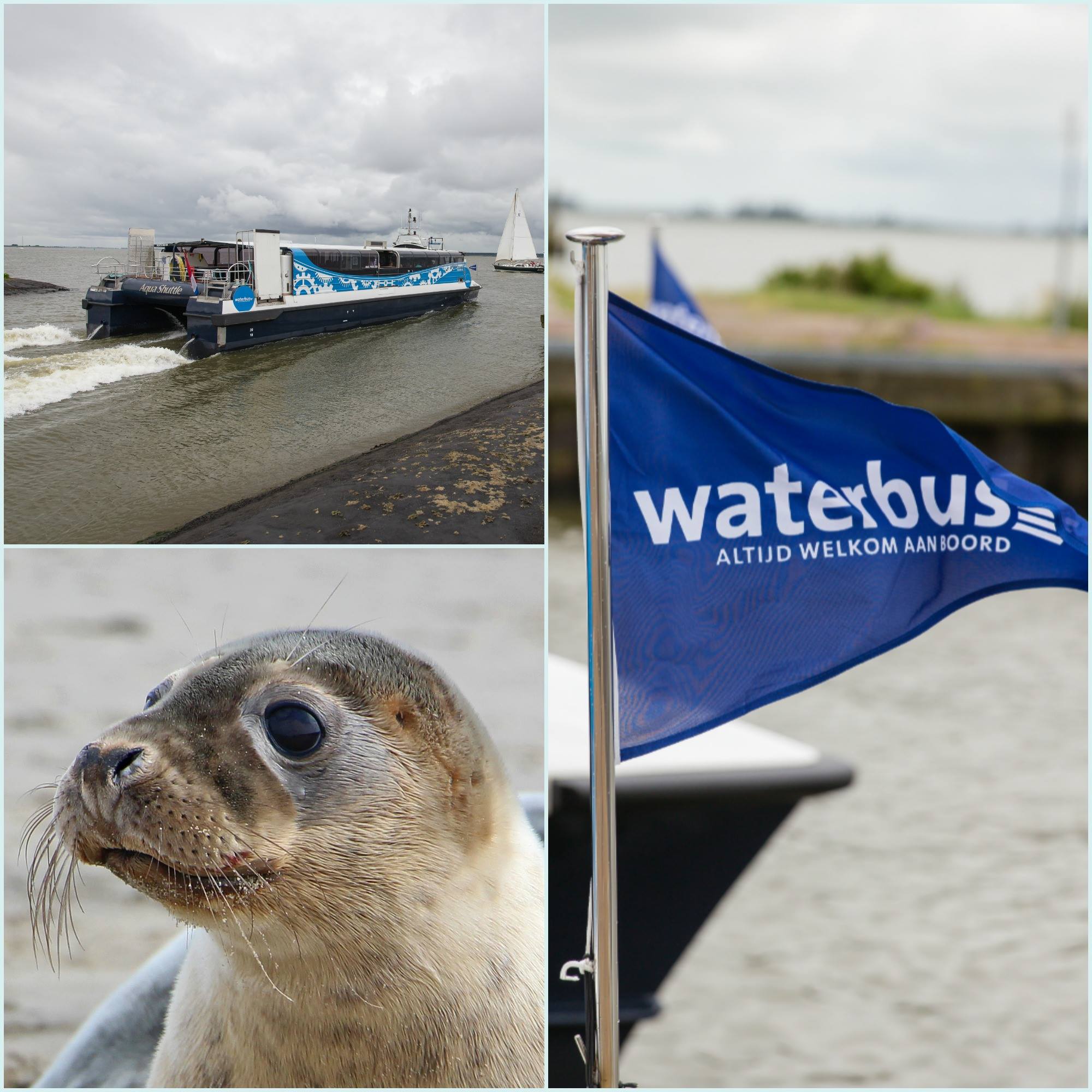 Haringvliet expeditie